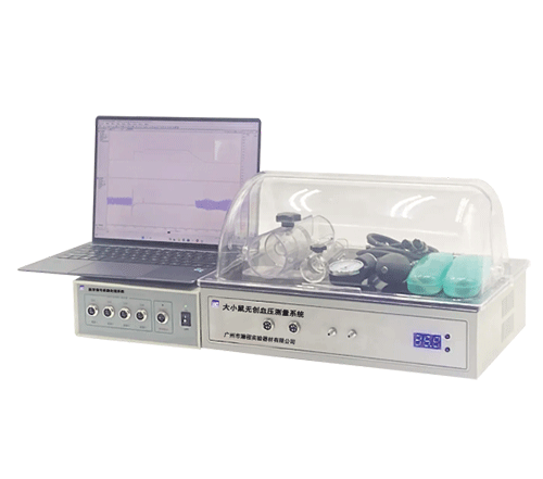 大小鼠无创血压测量分析系统