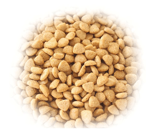 实验犬维持饲料