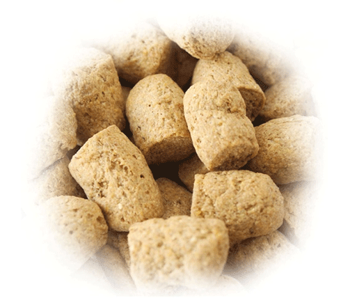 实验猴维持饲料