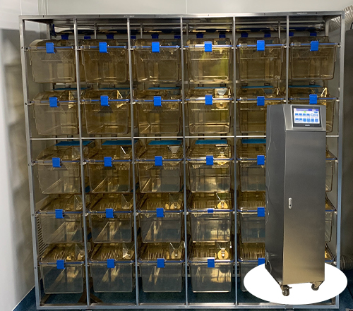 IVC大鼠独立通气笼